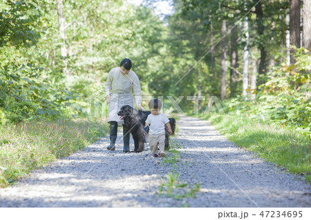 犬と遊ぶ親子 47234695