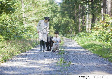 犬と遊ぶ親子 47234696