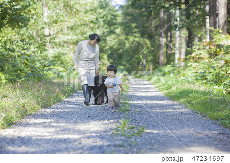 犬と遊ぶ親子 47234697