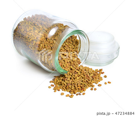 Fenugreek seed with sprout. Fenugreek seed with sprout. 47234884