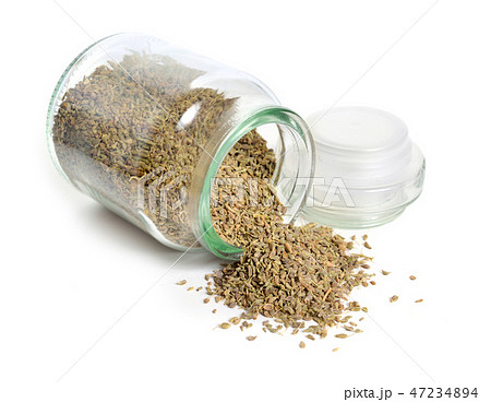Anise, also called aniseed or Pimpinella anisum. 47234894
