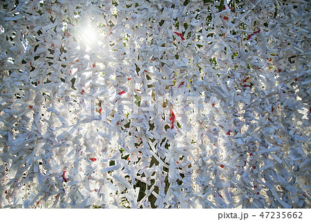 竹駒神社　日本三大稲荷 47235662