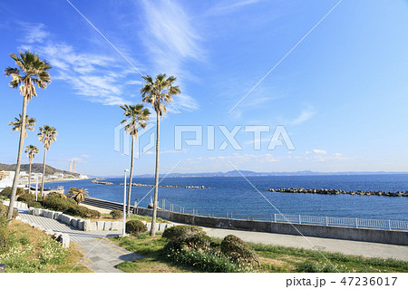 三浦半島 47236017