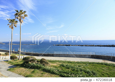 三浦半島 三浦半島 47236018