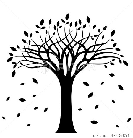 Autumn tree silhouette over white background Autumn tree silhouette over white background 47236851