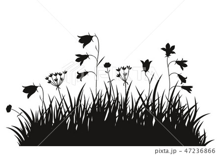 Vector illustration grass background 47236866