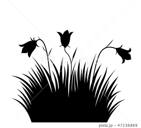 Vector illustration grass and flowers background 47236869