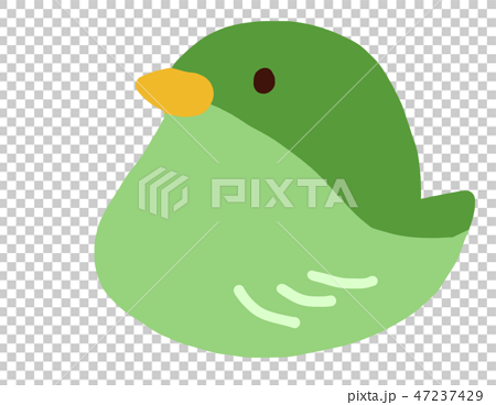 かわいい緑色の鳥のイラスト素材