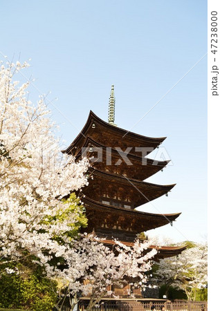 瑠璃光寺 瑠璃光寺 47238000