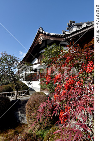 金戒光明寺 塔頭栄摂院 金戒光明寺 塔頭栄摂院 47238030