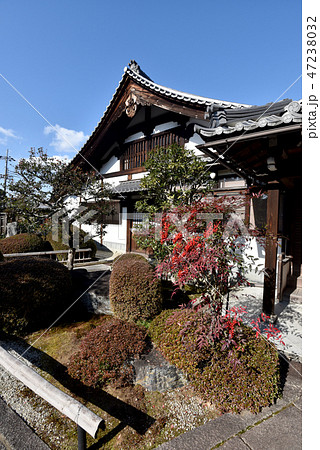 金戒光明寺 塔頭栄摂院 金戒光明寺 塔頭栄摂院 47238032