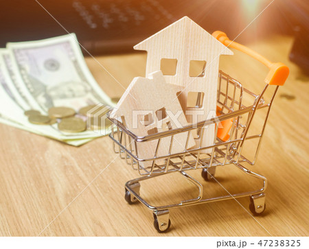 Wooden houses in a supermarket trolley Wooden houses in a supermarket trolley 47238325
