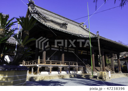 尾道　古寺めぐり　浄泉寺　本堂 47238396