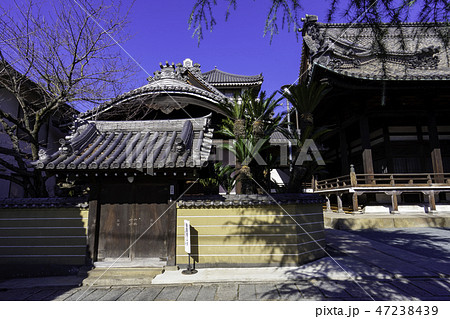 尾道　古寺めぐり　浄泉寺　中門　大玄関　客殿　茶室 47238439