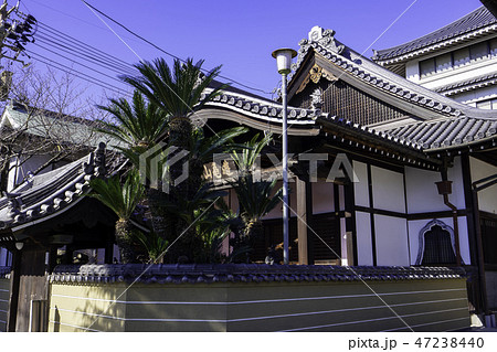 尾道 古寺めぐり 浄泉寺 中門 大玄関 客殿 茶室 尾道 古寺めぐり 浄泉寺 中門 大玄関 客殿 茶室 47238440