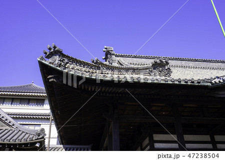 尾道 古寺めぐり 浄泉寺 大屋根 尾道 古寺めぐり 浄泉寺 大屋根 47238504