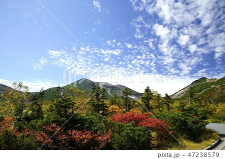 9月、紅葉の乗鞍岳（撮影地：乗鞍、肩の小屋口→位ヶ原） 47238579