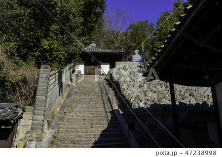 尾道　古寺めぐり　浄土寺　薬師堂 47238998
