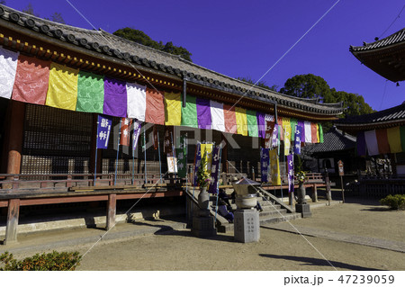 尾道　古寺めぐり　浄土寺　阿弥陀堂 47239059
