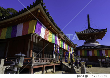 尾道　古寺めぐり　浄土寺　阿弥陀堂 47239060