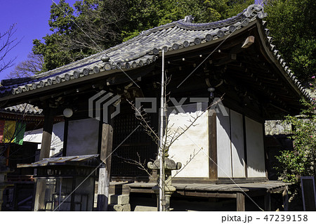 尾道　古寺めぐり　浄土寺　境内のお堂 47239158