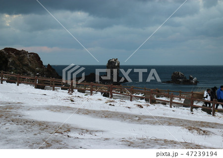 風景 観光 済州島 47239194