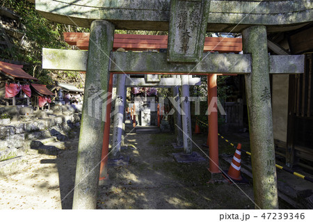 尾道　古寺めぐり　浄土寺　稲守稲荷大明神 47239346