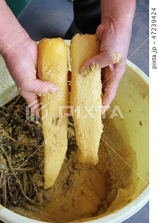 沢庵漬け 47239424