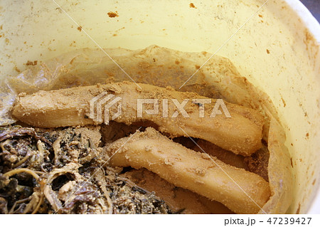 沢庵漬け 沢庵漬け 47239427