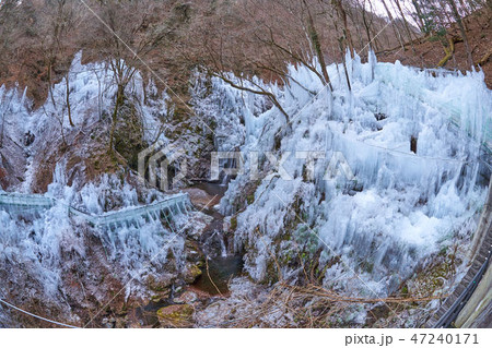 埼玉県 秩父の尾ノ内渓谷氷柱 47240171