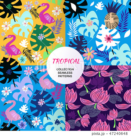 Tropical patterns set12 Tropical patterns set12 47240648