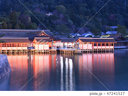 厳島神社のライトアップ 47241527