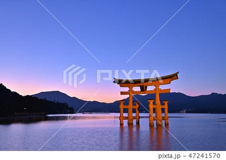 厳島神社の大鳥居と夕焼け 厳島神社の大鳥居と夕焼け 47241570