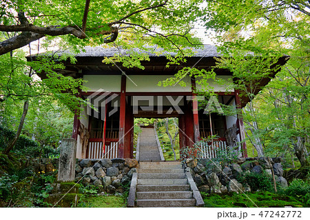 常寂光寺 仁王門(京都) 常寂光寺 仁王門(京都) 47242772