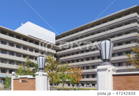 京都府立医科大学 47242830