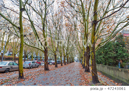 Autumn street in neighborhood of Berlin. 47243061