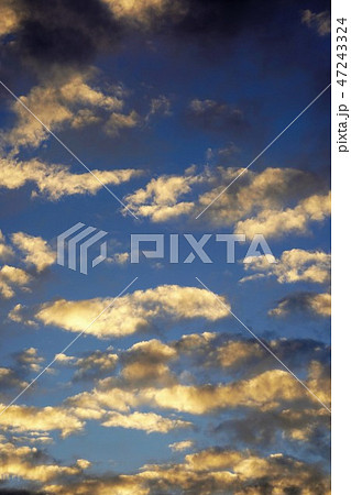 夕焼け空 高積雲とすき間雲 の写真素材