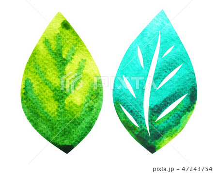 leaf symbol, watercolor painting hand drawn design 47243754