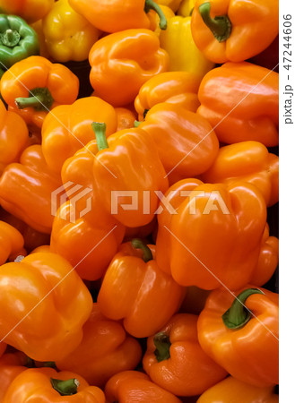 Stunning orange bell pepper in supermarket 47244606