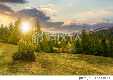 beautiful springtime landscape at sunset 47244614