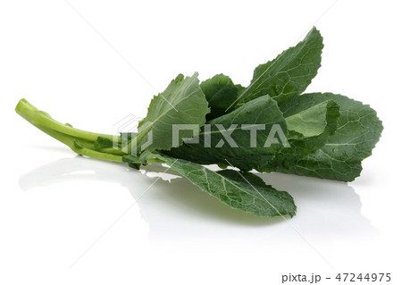 Bunch of fresh black cabbage leaves Bunch of fresh black cabbage leaves 47244975