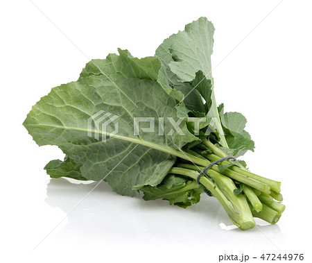 Bundle of fresh black cabbage leaves Bundle of fresh black cabbage leaves 47244976