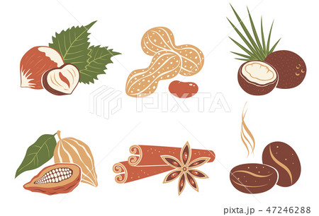 Vector set nuts icons 47246288
