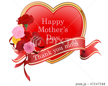 母の日 母の日 47247588