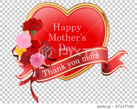 母の日 母の日 47247588