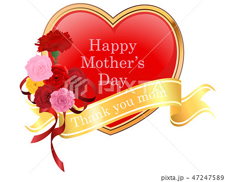 母の日 47247589