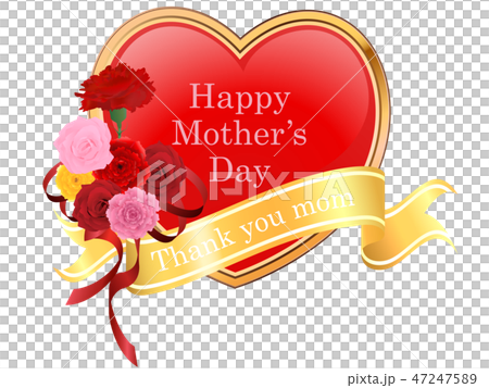 母の日 47247589