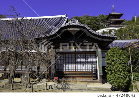 尾道 古寺めぐり 西国寺 西國寺 持仏堂 持佛堂 尾道 古寺めぐり 西国寺 西國寺 持仏堂 持佛堂 47248043