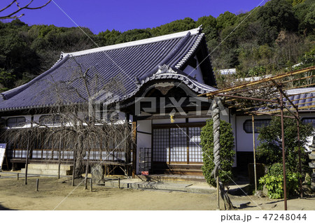 尾道　古寺めぐり　西国寺　西國寺　持仏堂　持佛堂 47248044