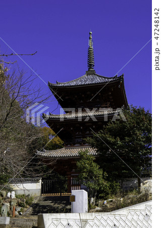 尾道 古寺めぐり 西国寺 西國寺 三重塔 尾道 古寺めぐり 西国寺 西國寺 三重塔 47248142